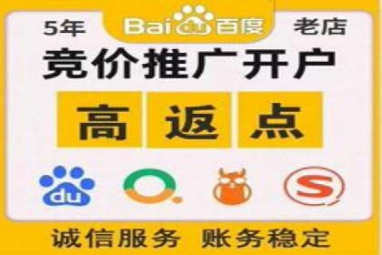 行业领先企业的SEM运营推广实战